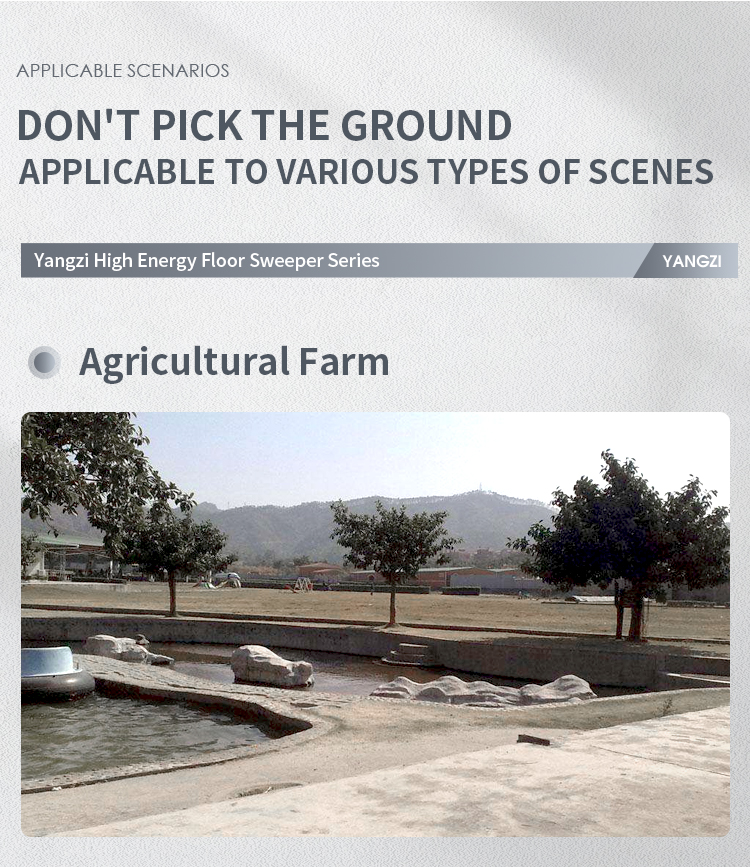 s11_04.jpg